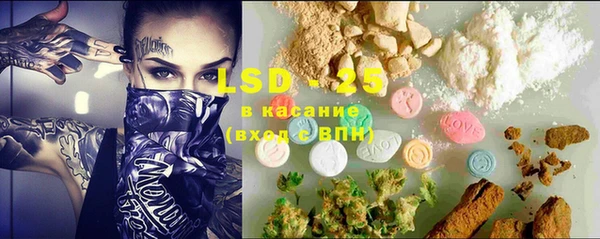 ECSTASY Алзамай