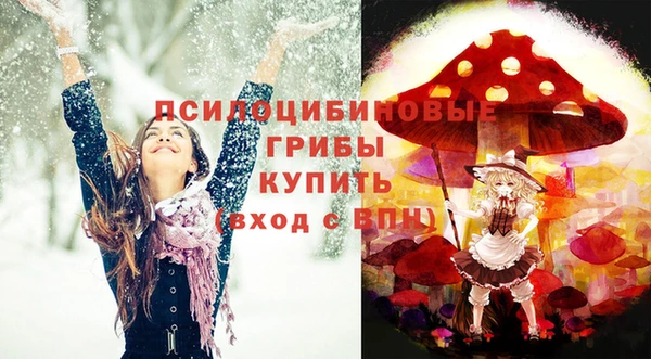 ECSTASY Алзамай