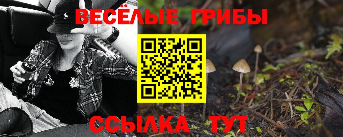 Галлюциногенные грибы прущие грибы Новоуральск