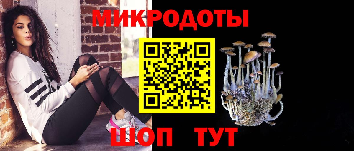 Галлюциногенные грибы GOLDEN TEACHER  Вход с VPN  Новоуральск  Псилоцибиновые грибы Psilocybine cubensis 